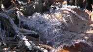 “幻想的な霧”に“美しい霜“…各地でこの秋一番の冷え込み 蔵王の山も“雪化粧”