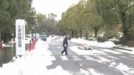 選挙・大学入試に影響は？今シーズン最強寒波襲来…新潟では雪で倒壊した家屋も　週末は都心でも積雪の可能性が…試験時間の繰り下げも