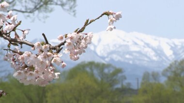 岩手の絶景桜の名所 加藤登紀子さんの曲やエピソードとともに
