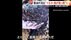 「全身油まみれ」鼻や口の中まで入りぐったりしたイルカ…うずくまる…