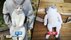 【追跡】ニセ猫型リュックだまされたU…