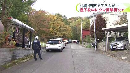 【登下校注意】子グマ2頭が公園に居座る…小学生が発見・小学校が通報＿西区では前日にクマのような動物の目撃も…市職員「食べ物探しに出てくる季節」＜札幌市・西区＞