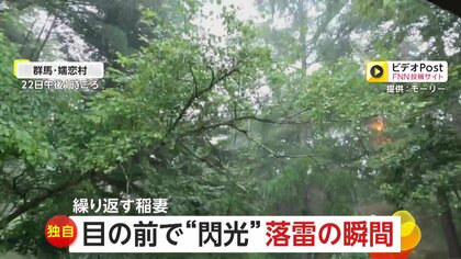 【独自】「外にいたら死んでいたかも」10m先の木に“落雷の瞬間”激写　目の前で閃光…破壊された木が衝撃物語る　群馬・嬬恋村