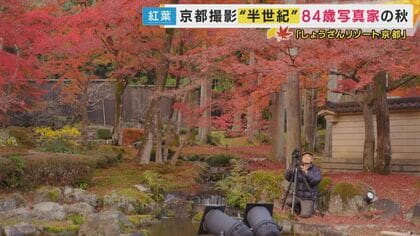 京都の紅葉を50年以上撮り続ける写真家　出版した写真集は215冊にも　「偶然に出会う楽しみ。やめられない」