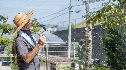 生命力が強い“ミント”が暑くて枯れそうに…猛暑から植物をどう守る？家庭でできる対策を聞いた