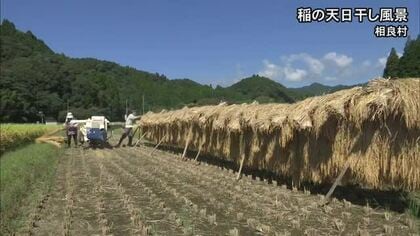 相良村で稲の天日干しや脱穀【熊本】