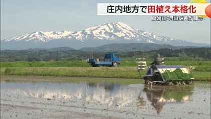 「種まきじいさん」が告げる田植えの季節　「一等米」目指し庄内地方で作業本格化【山形発】