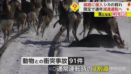 JR北海道が“通年減速運転”を決断　路線に侵入するシカの群れとの衝突対策　事故約3割減少の実績受け
