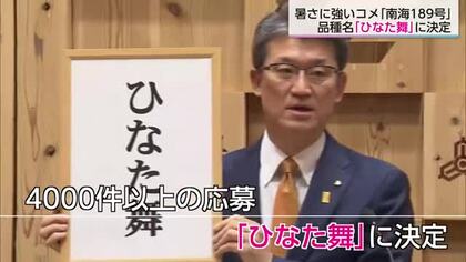 来年から発売　暑さに強い米・南海189号の品種名は「ひなた舞」に決定