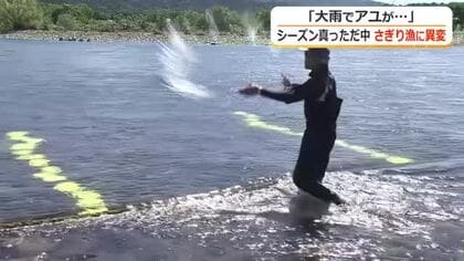 網を打っても数匹のみ…8月の大雨でアユが激減　九頭竜川の伝統「さぎり漁」記録的な不漁