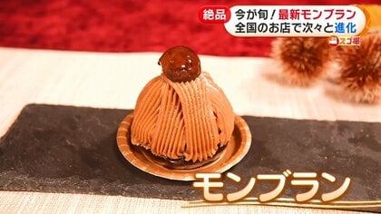 進化形モンブラン続々登場…「超繊細な極細ペースト」「まるで編み物
