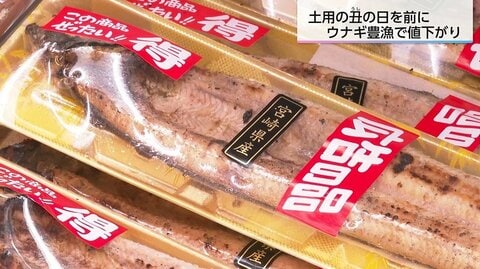 「土用の丑の日」はおトクな夏に！うなぎが最大3割安、コメも価格下落でスタミナチャージの絶好機に