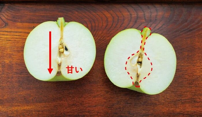 梨を切る時、赤い点線部分はカットしたほうが良い(画像提供:鳥取県)