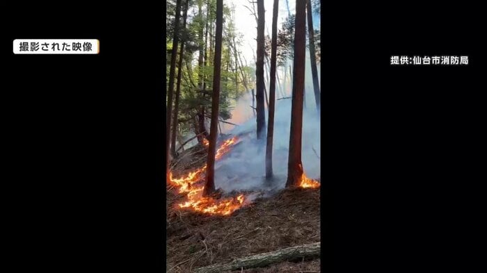 現場で撮影した映像をリアルタイムで共有（提供：仙台市消防局）
