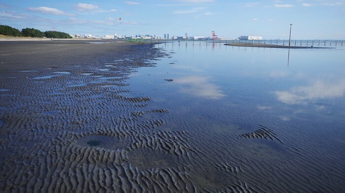 月の引力と太陽の引力が合わさることで、海面を引き寄せて潮が大きく満ちたり引いたりする(※画像イメージ)