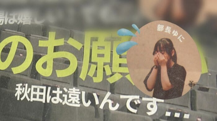 ニュースONE