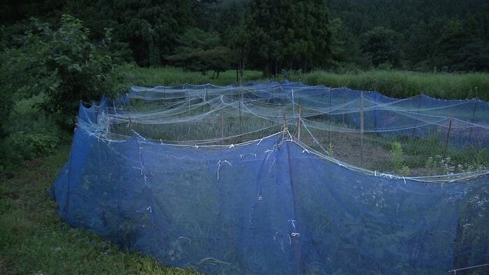 防護ネットでサル被害対策をしている八峰町八森岩館地区の畑