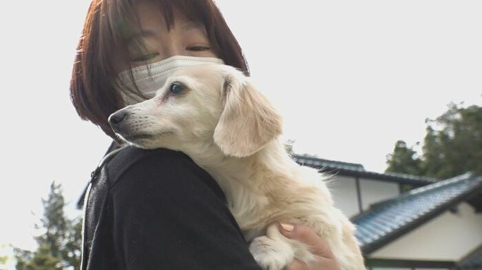 ドッグステイハウス・宮脇史オーナー