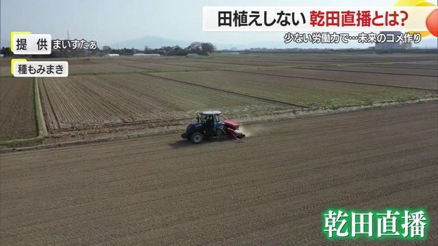 1区画を大きくし大型機械で作業する