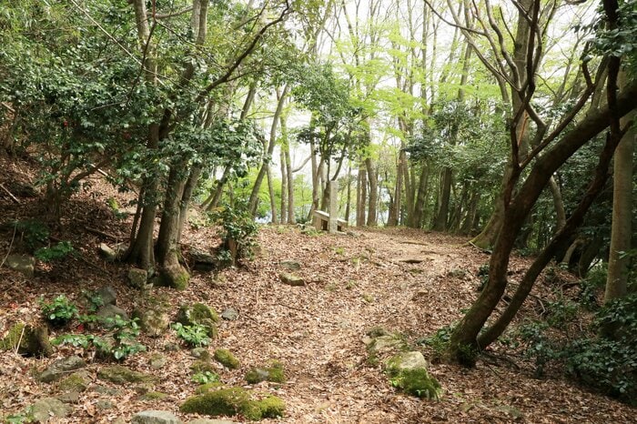 崖下にひっそりとある赤尾屋敷