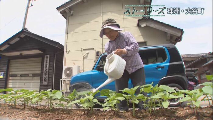 ヒマワリの水やりをする暢子さん