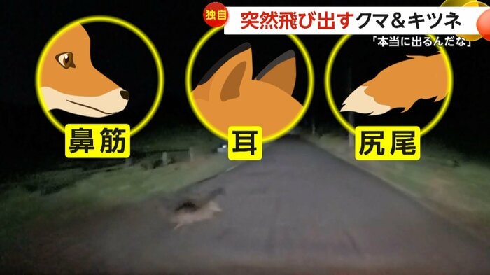 (視聴者提供)