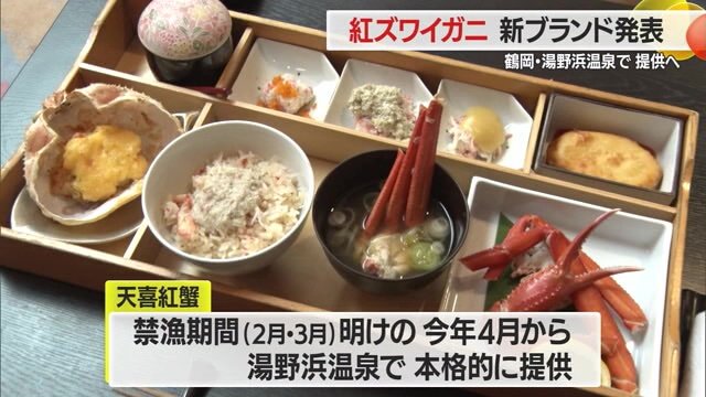 試食会で振る舞われた料理は紅ズワイガニがたっぷり