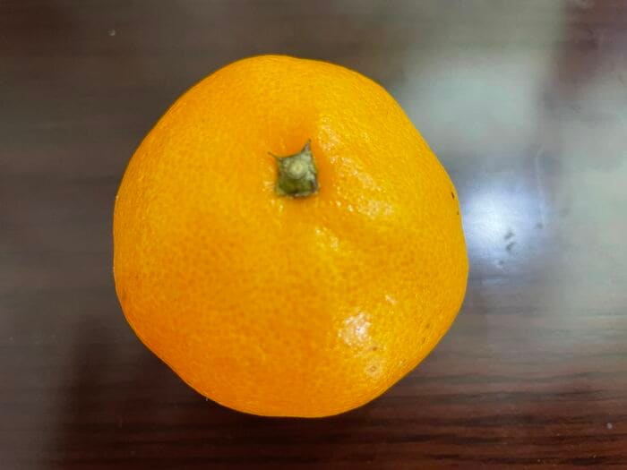 ミカンと隔離・・。結びつけるのは至難の業だ。