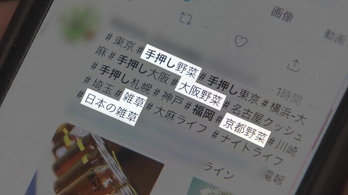 検索すると大麻を意味する大量の隠語が…
