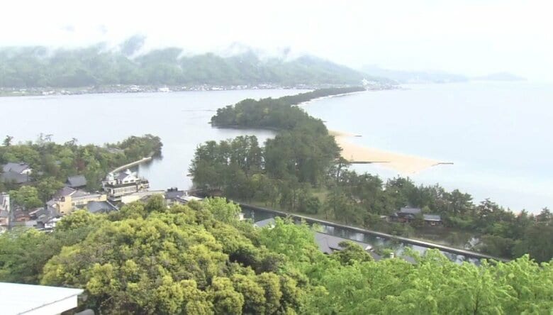 【速報】京都・天橋立でクマが出没し麻酔銃で捕獲　体長137センチ・体重97キロのオスのツキノワグマ｜FNNプライムオンライン