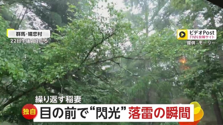 【独自】「外にいたら死んでいたかも」10m先の木に“落雷の瞬間”激写　目の前で閃光…破壊された木が衝撃物語る　群馬・嬬恋村｜FNNプライムオンライン