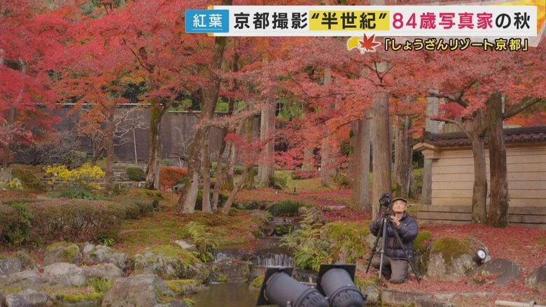 京都の紅葉を50年以上撮り続ける写真家　出版した写真集は215冊にも　「偶然に出会う楽しみ。やめられない」｜FNNプライムオンライン
