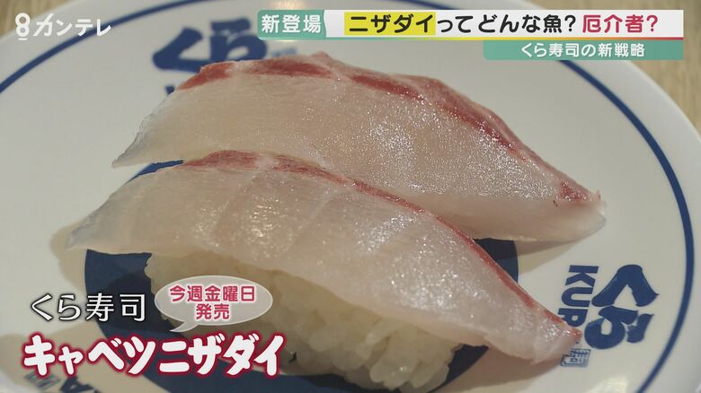 実は「欠点が見つからないくらいおいしい」魚も…これまで食されなかった魚の魅力発掘 今一度「日本の魚にも関心を」｜FNNプライムオンライン