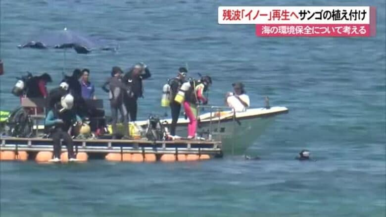 残波イノー再生プロジェクト｜FNNプライムオンライン