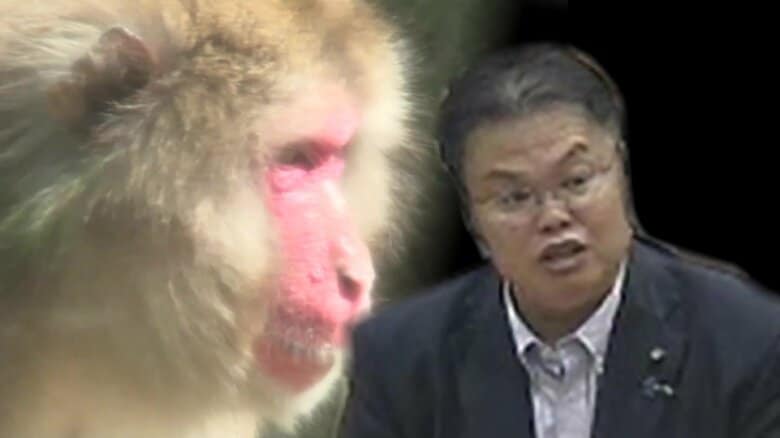 公園で飼育のサル頭数削減めぐり便宜…現金100万円受け取った疑いで市議会前議長を逮捕　鳥取・米子市｜FNNプライムオンライン
