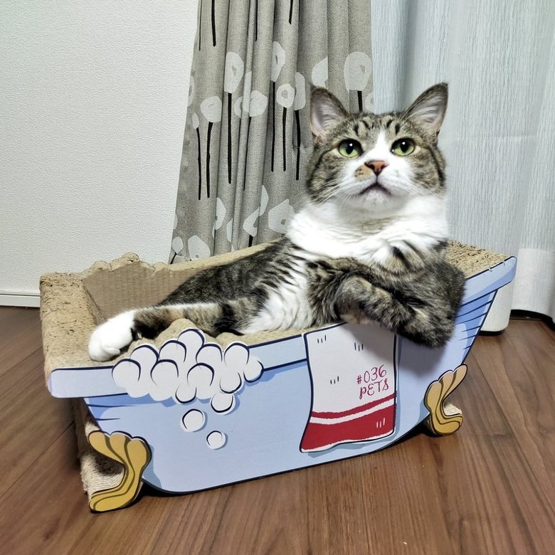 くつろぐまめたろくん