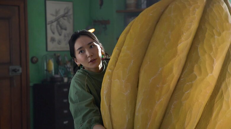 大きなカカオ。抱き上げられる？