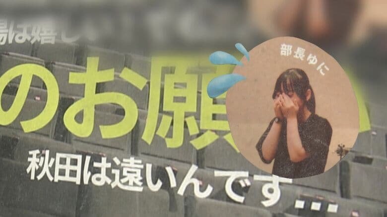 ニュースONE