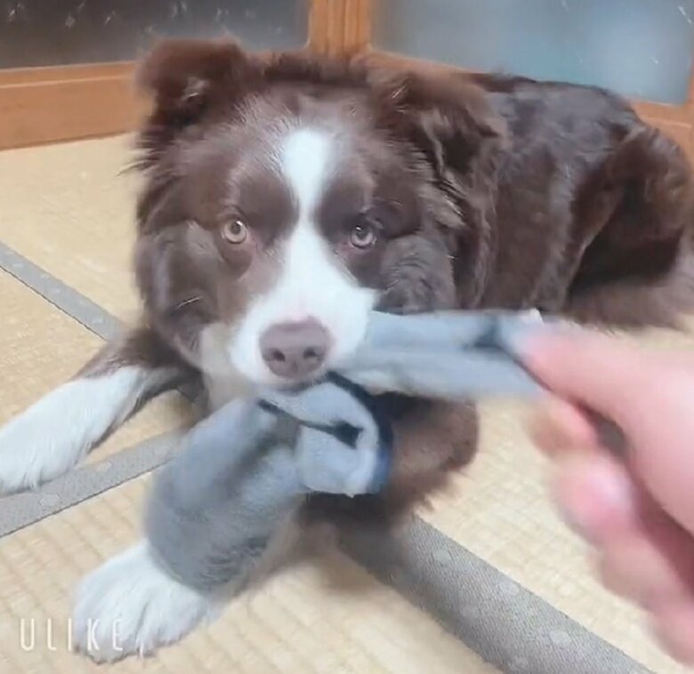 返してほしくても…