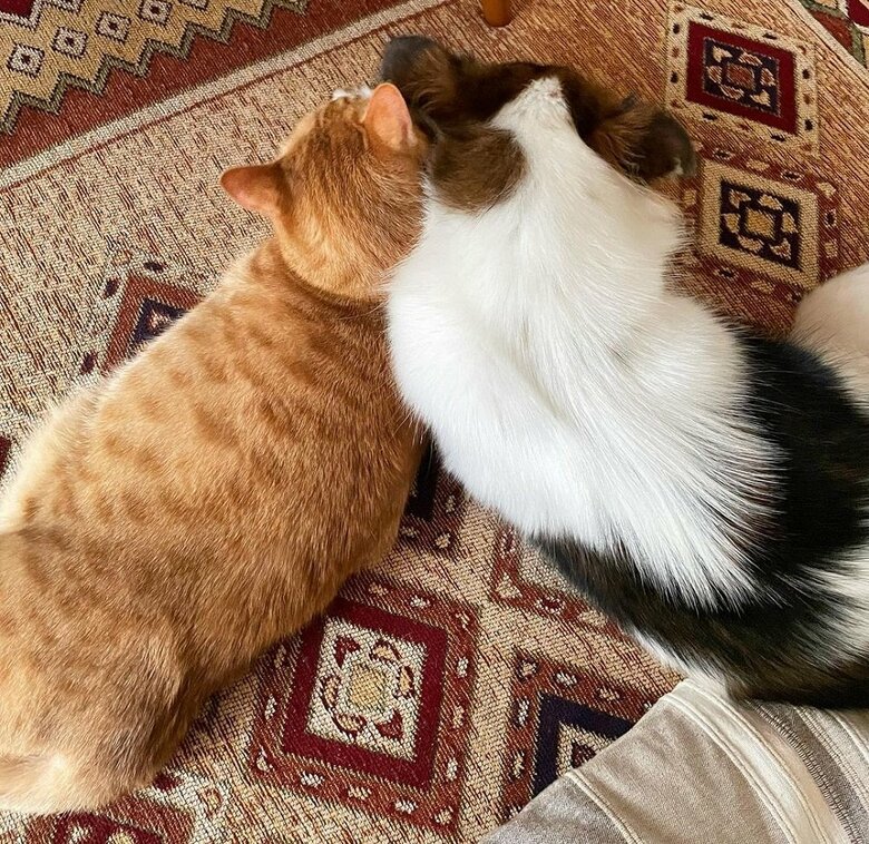 お互いが大好き