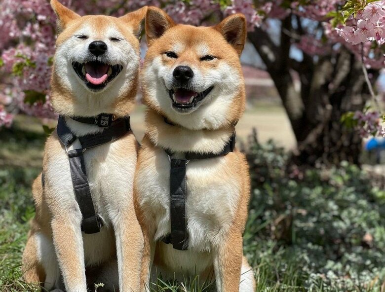 これからも元気で過ごしてほしい