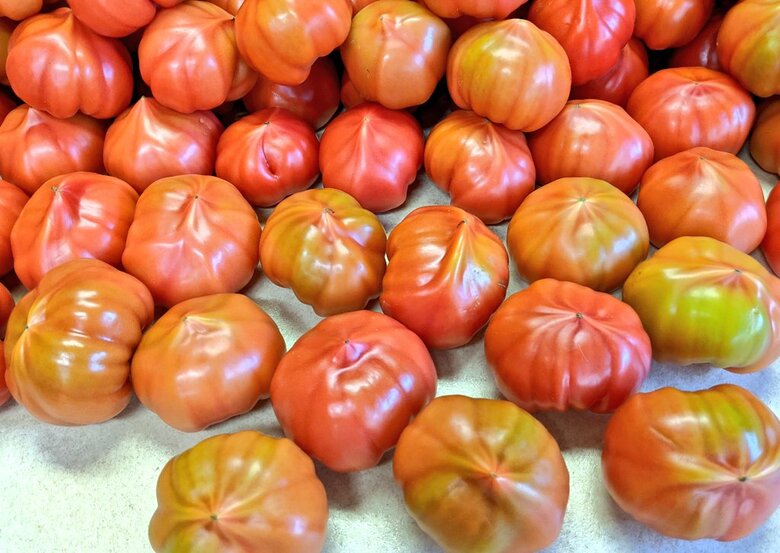 ファーストトマトのお尻側