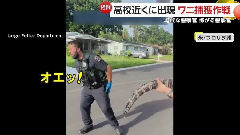 体長約1mのワニにビビりまくる都会育ちの男性警察官