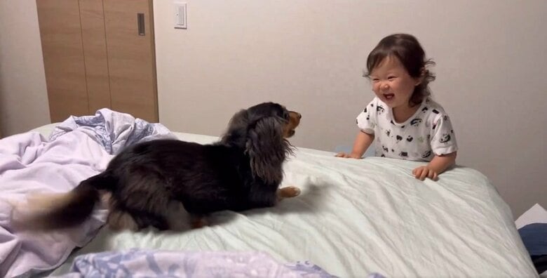 仲良く遊んでいる