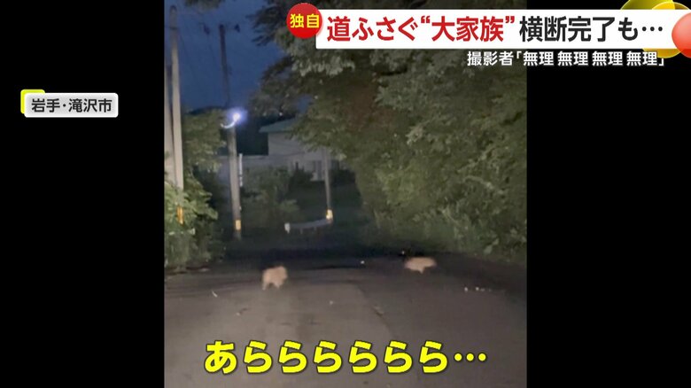 「あららららら」とこぼしていた困った様子の撮影者