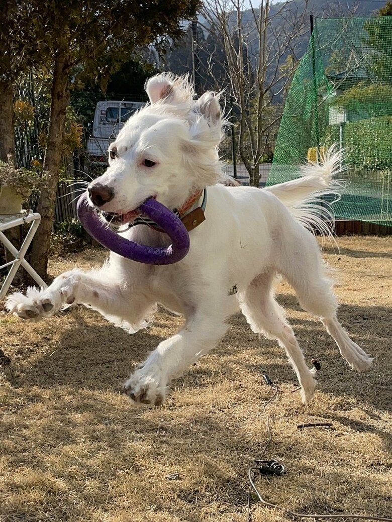 ナイスキャッチ！