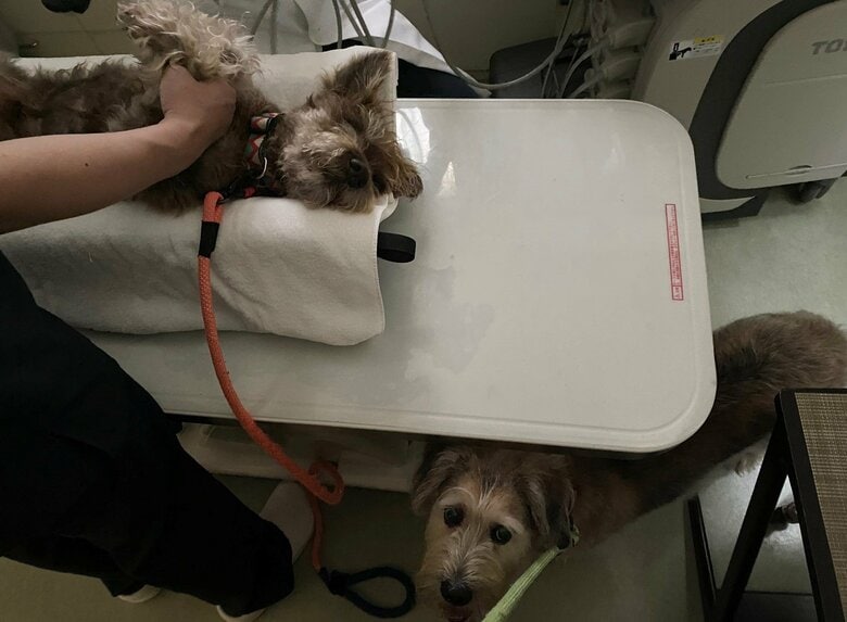 現在も病院で定期的に検査をしている