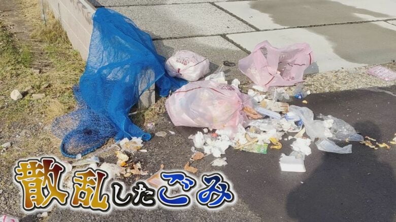 カラスによって荒らされたごみ