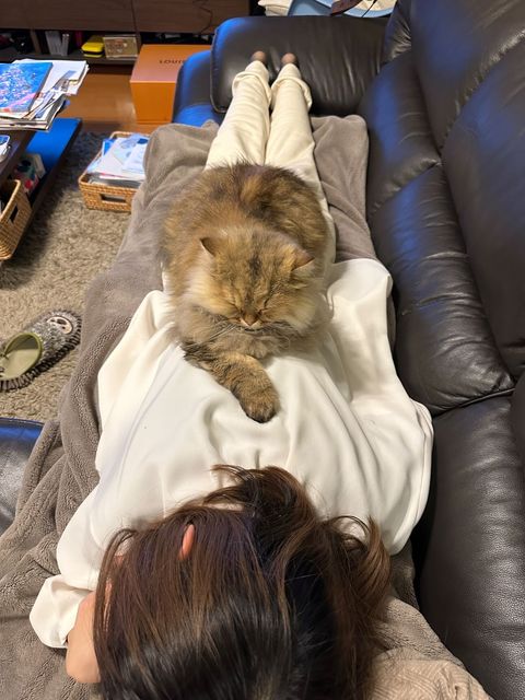 提供：ひなたさん