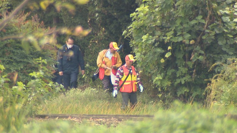 クマに襲われ95歳男性けが 首などかまれ搬送